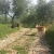 foto 10 di Agriturismo Gravanella (Pet Friendly ) agriturismo-fattoria-gravanella
